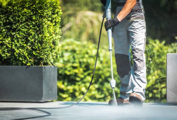 Best Driveway Pressure Washing  in Shenandoah, PA
